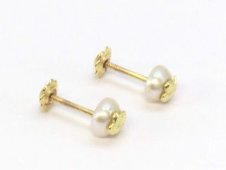 Pendientes Tous Perla Oso Oro