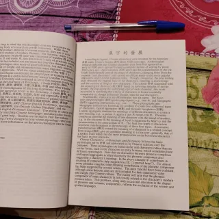 Chinese Characters: A Genealogy and Dictionary