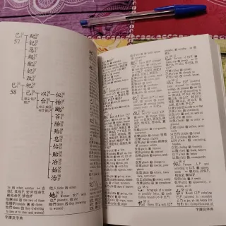 Chinese Characters: A Genealogy and Dictionary