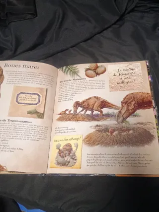 Dinosaures (Enciclopedia Larousse) (Catalan Edi...