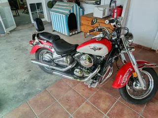 Kawasaki Vulcan 800 Custom