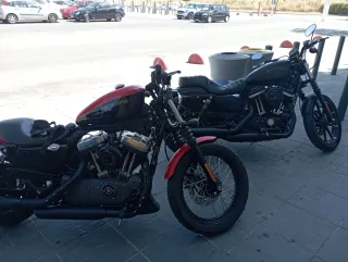 Harley Davidson Sportster 1200