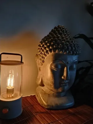 Masaje Profesional y Terapéutico