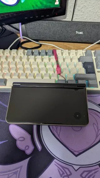 Nintendo DS XL Negra/Plateada