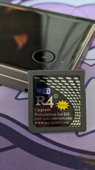 Nintendo DS XL Negra/Plateada