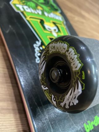 Skate Birdhouse Tony Hawk Gargola