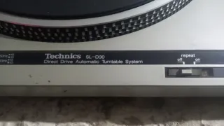 Tocadiscos Technics SL-Q300