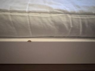 Cama Montessori Flexa (para colchón 90x190).