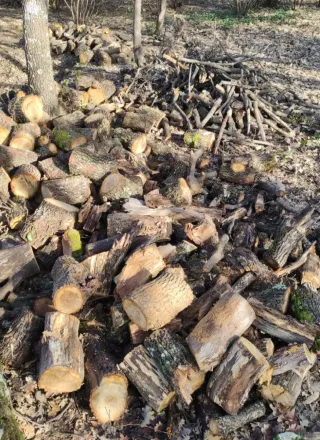 Leña de roble para chimenea