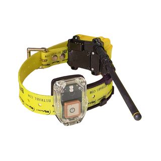 Collar Radio GPS Perros BITE MITO 5100 Bitrabi