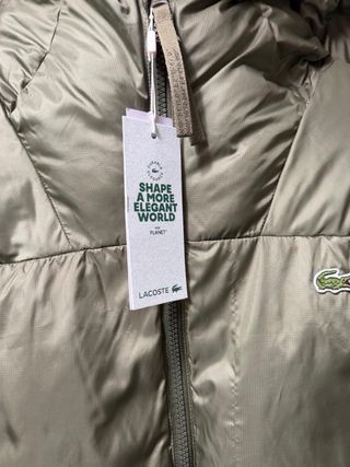 Chaleco acolchado Lacoste verde con capucha