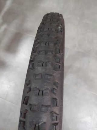 Rueda continental 29