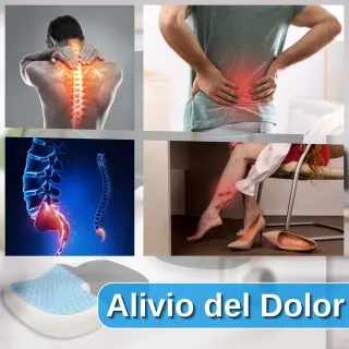 Cojín Ergonómico Antiescaras Viscoelástico NUEVO