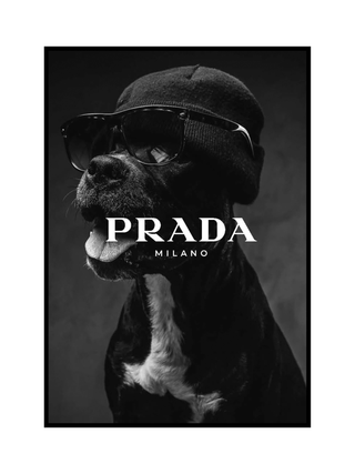 Cuadro Perro con gafas Prada Milano