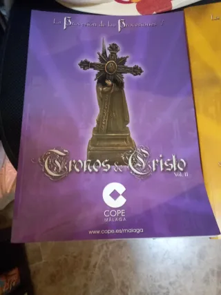 17 Carteles y libros cofrades más cuadro del Carme