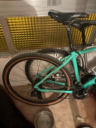 Bicicleta Megamo Natural 60 2025