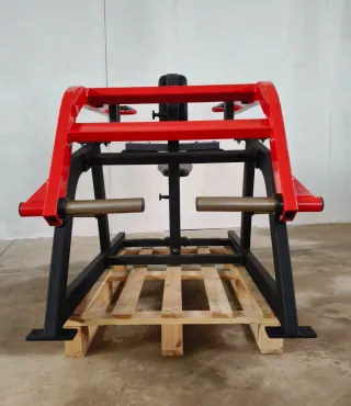 FONDOS DE PECHO Y TRICEPS PROFESIONAL!