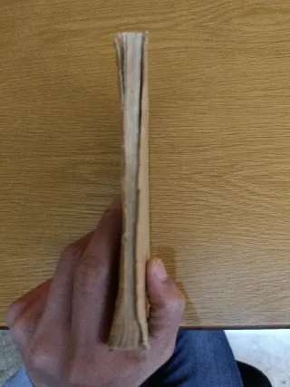 Libro histórico "EL RETORN" de María Antonia Salvá