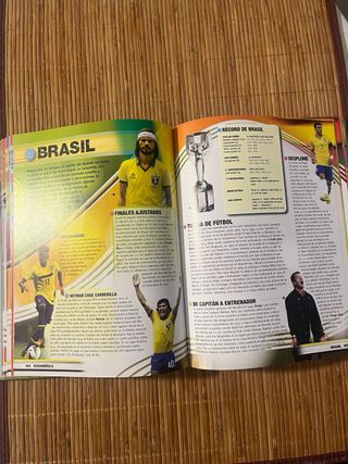 Libro de futbol. RECORDS DEL MUNDO