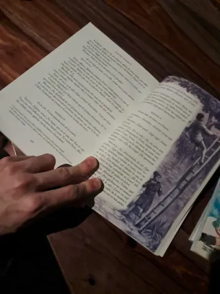 La Celestina - Clasicos Adaptados N/c