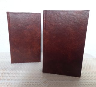 Lote Libros Clásicos de Economía (2 unidades)