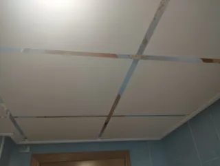 Pladurista y escayolista