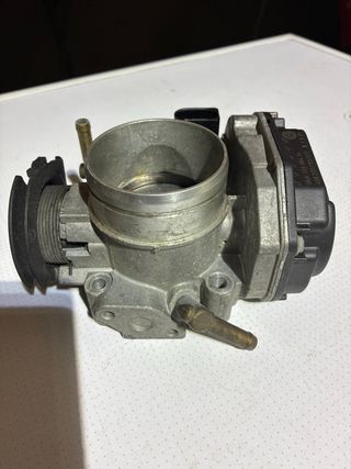 Cuerpo Mariposa Grupo VAG