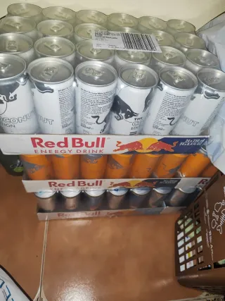 Latas Red Bull Sugar Free Sabores Variados