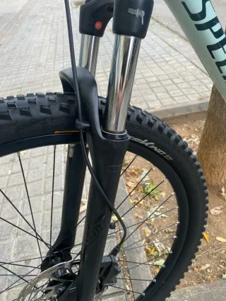 Bicicleta Specialized 29