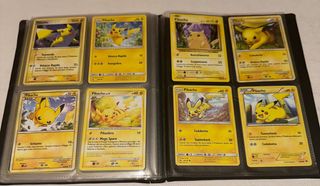 Carte Pokemon(+100) e raro raccoglitore