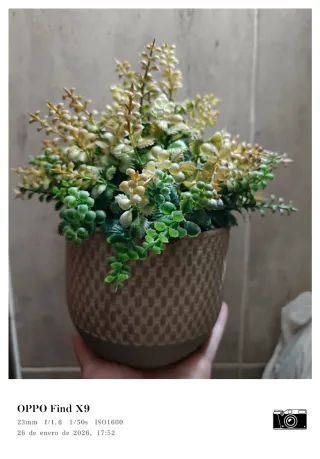 Maceta Decorativa Marrón y Verde