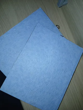 Coppia Quadri Vintage Cani da Caccia