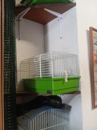 Jaulas para pájaros (2 verdes, 1 azul)