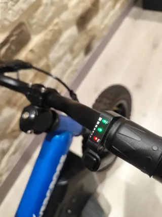 Bicicleta Eléctrica Infantil 24V 100W