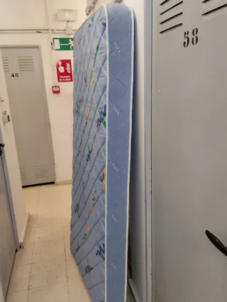 Colchón Cama Supletoria Flex juvenil