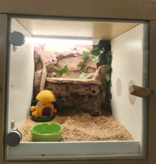 Mueble Kayak Terrario