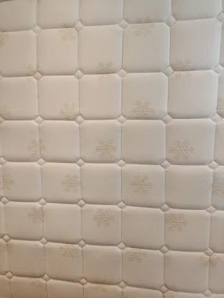 Colchón Dormideo Magnum Ecolife