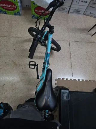 Bicicleta infantil niña/niño 6 años