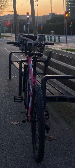 Bicicleta rosa con doble sillín y cesta
