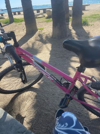 Bicicleta rosa con doble sillín y cesta