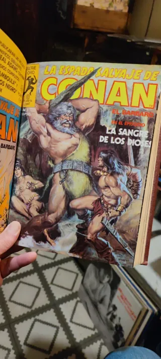 La espada salvaje de Conan