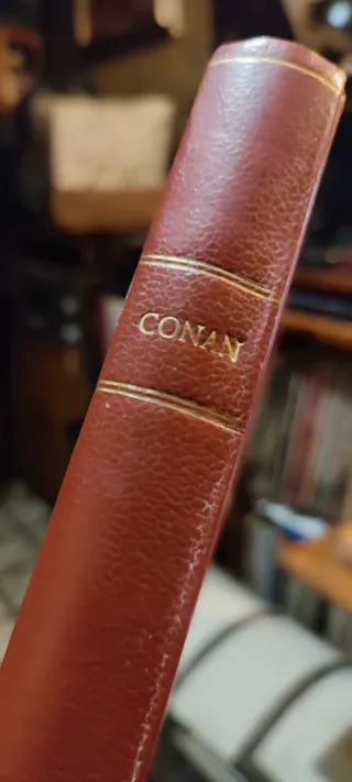 La espada salvaje de Conan