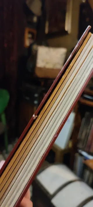 La espada salvaje de Conan