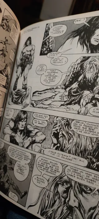 La espada salvaje de Conan