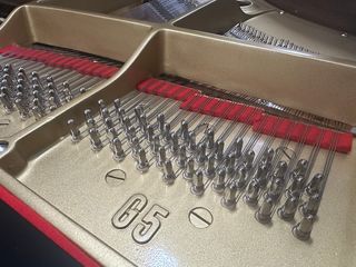 Piano Cola Yamaha G5