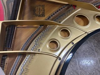 Piano Cola Yamaha G5