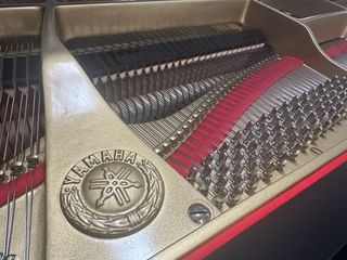 Piano Cola Yamaha G5