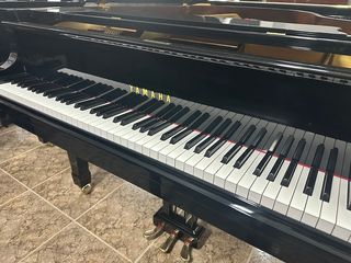 Piano Cola Yamaha G5