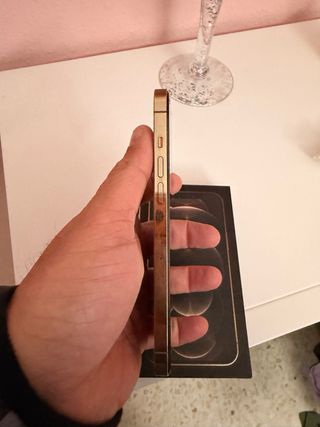 iPhone 12 Pro Max 256GB Oro