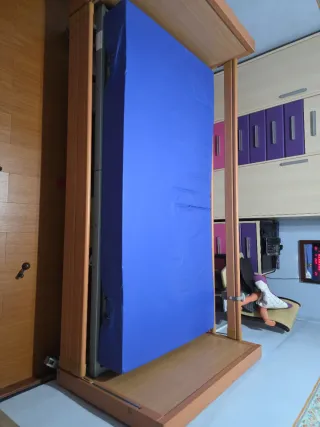 Cama ortopédica electrónica regulable